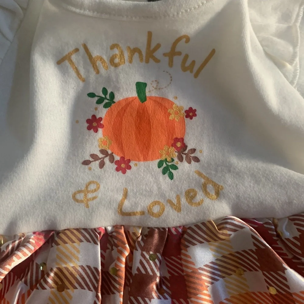 Baby Starters - Rashti & Rashti - Thanksgiving Dress with attached onesie - 9 M - Picture 2 of 16